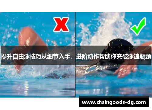 提升自由泳技巧从细节入手，进阶动作帮助你突破泳速瓶颈