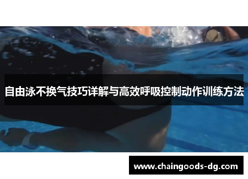 自由泳不换气技巧详解与高效呼吸控制动作训练方法